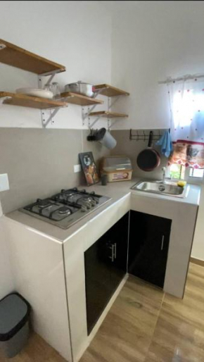 Areca House